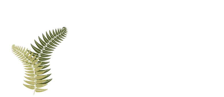 Fernglen Forest Retreat